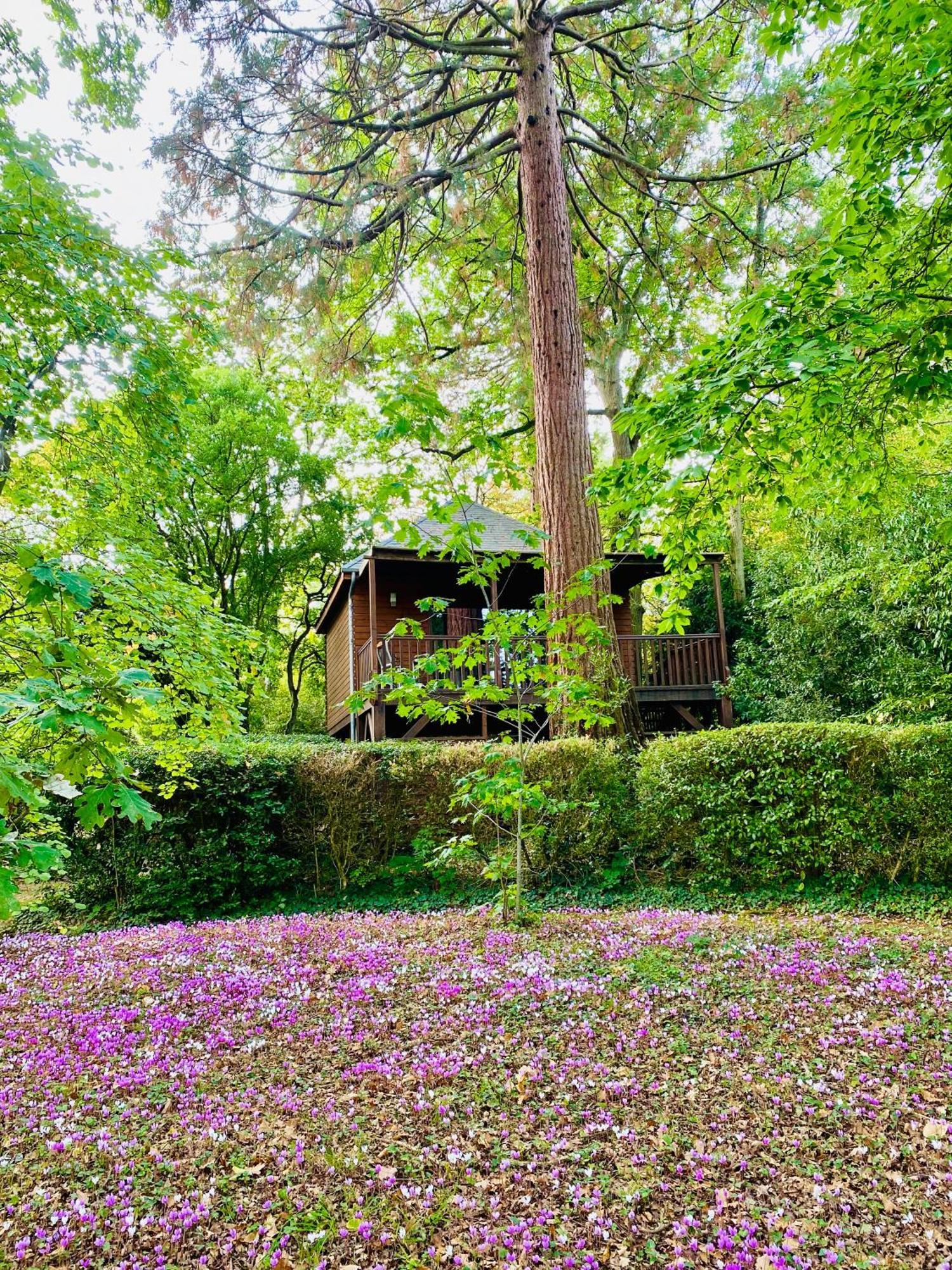 Chalet Avec Jacuzzi Privatif Du Manoir Du Parc - Adults Only Amboise