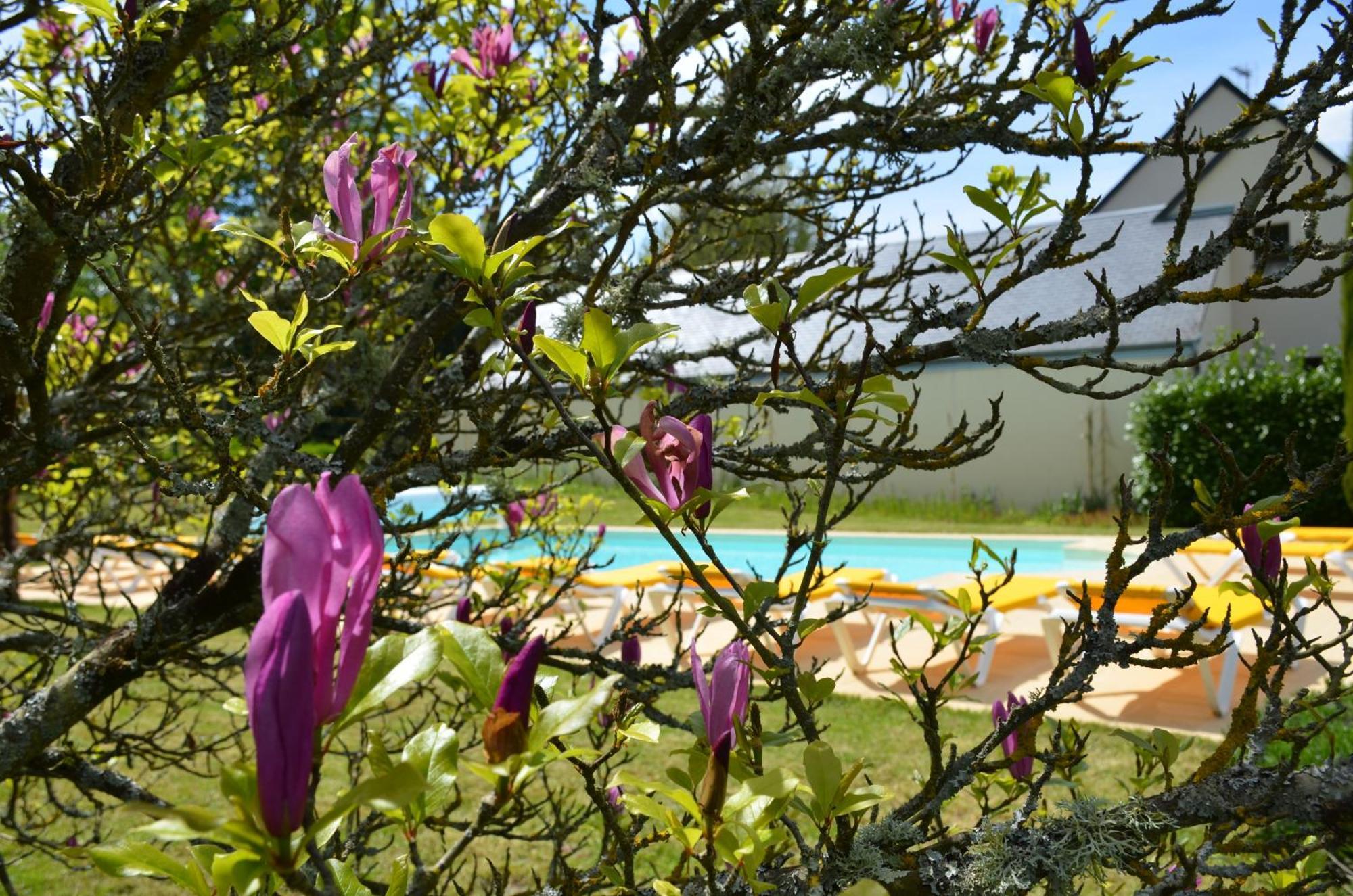 Avec Jacuzzi Privatif Du Manoir Du Parc - Adults Only Chalet Amboise